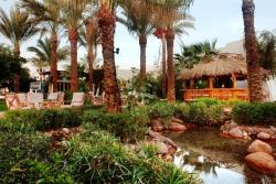 Hilton Fayrouz - Sharm El Sheikh. Garden.